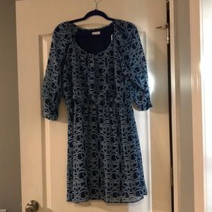 Charming Charlie cinch waist swing dress